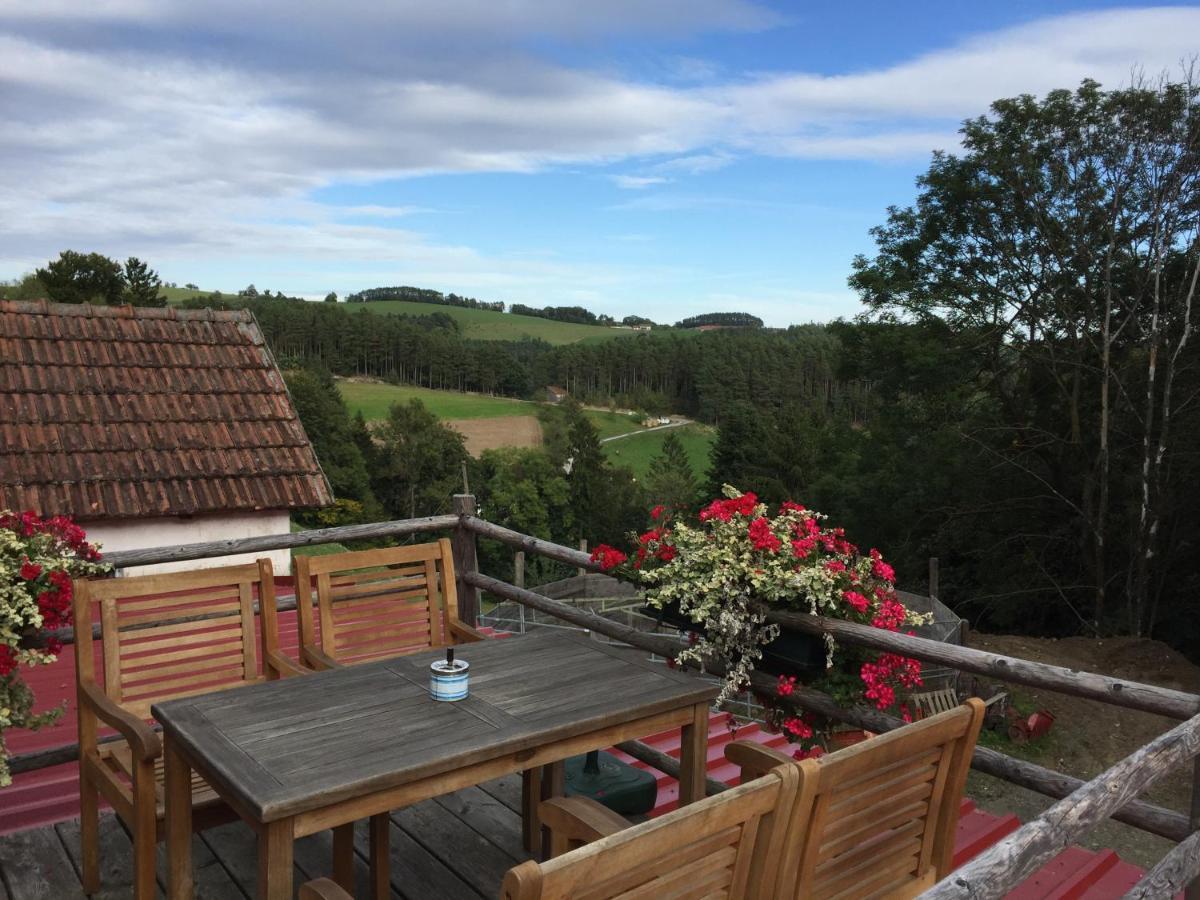 Haflingerhof Luef Villa Bad Schonau Ngoại thất bức ảnh