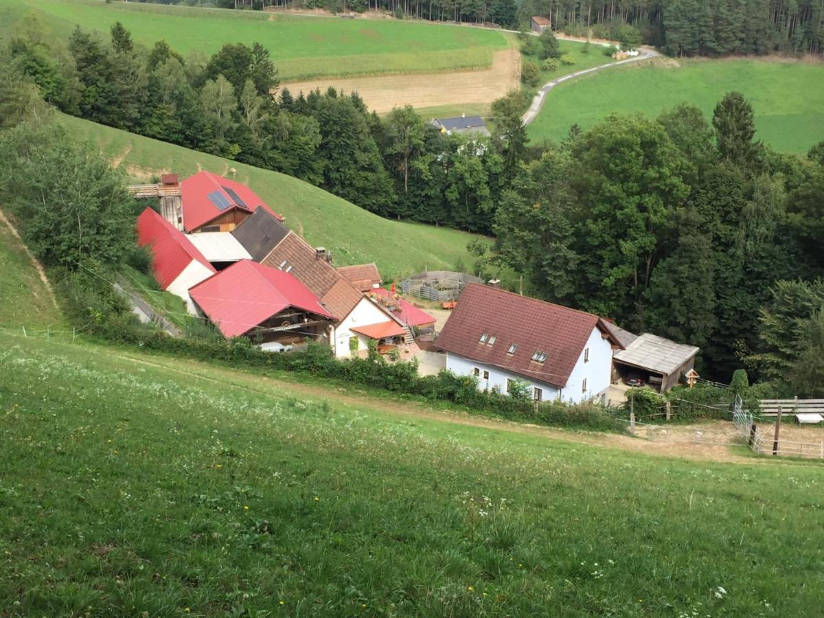 Haflingerhof Luef Villa Bad Schonau Ngoại thất bức ảnh