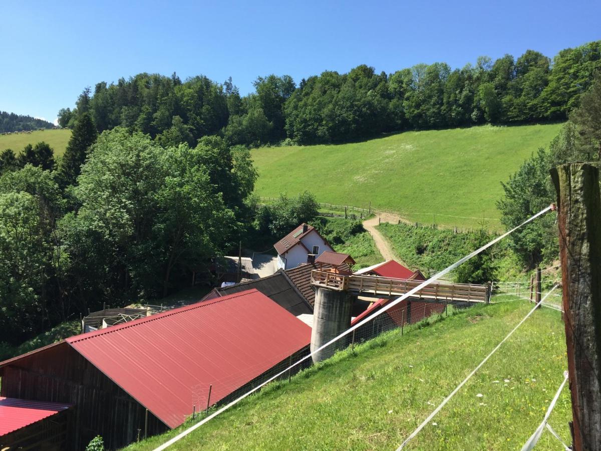 Haflingerhof Luef Villa Bad Schonau Ngoại thất bức ảnh