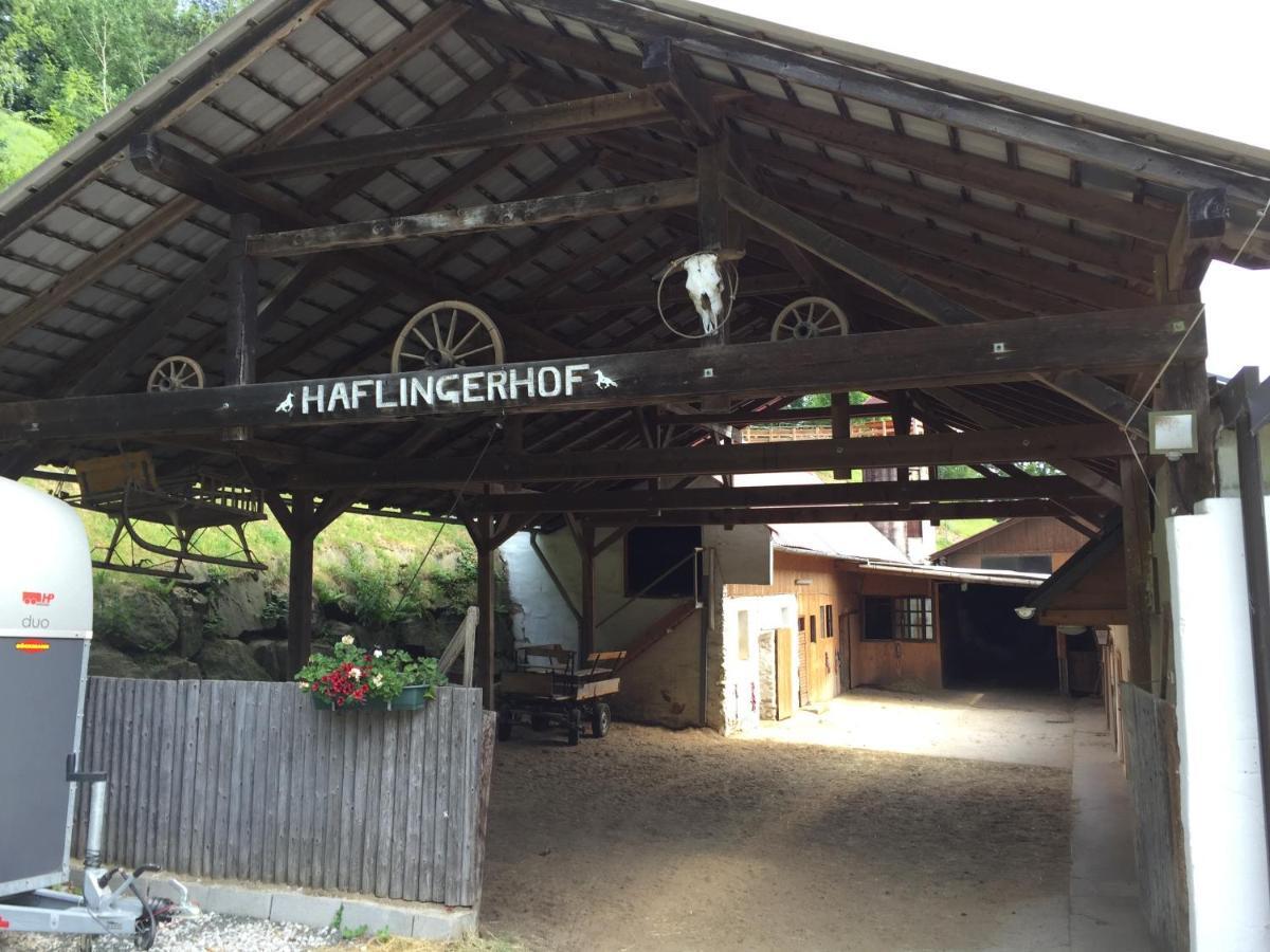 Haflingerhof Luef Villa Bad Schonau Ngoại thất bức ảnh