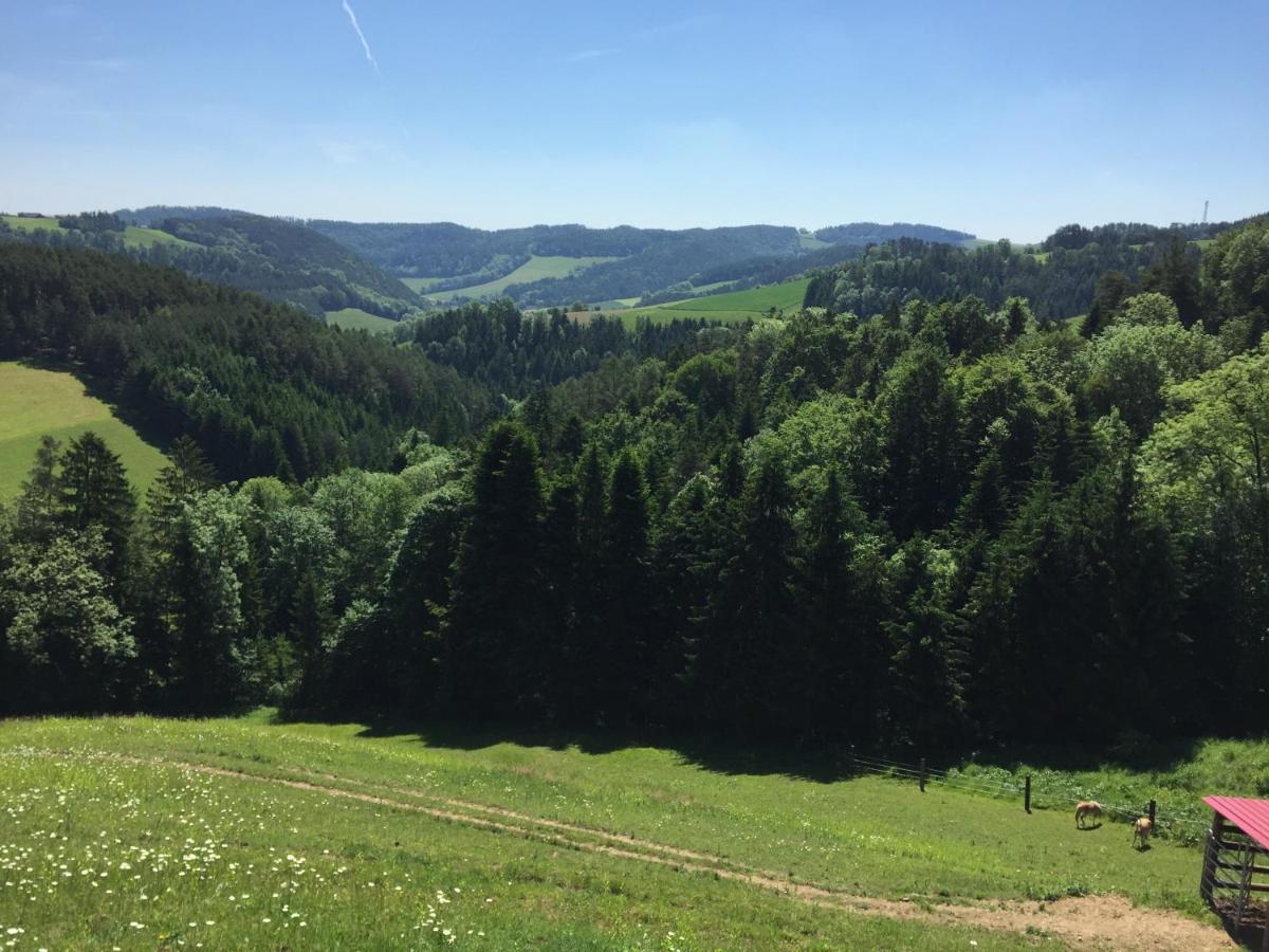 Haflingerhof Luef Villa Bad Schonau Ngoại thất bức ảnh