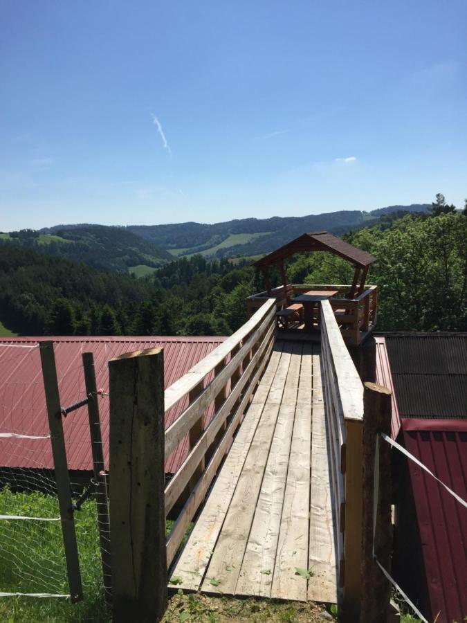 Haflingerhof Luef Villa Bad Schonau Ngoại thất bức ảnh